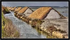 Amarena Sicily * Marsala